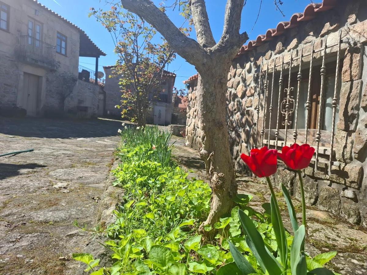 Casas Do Juizo - Country Houses Buitenkant foto